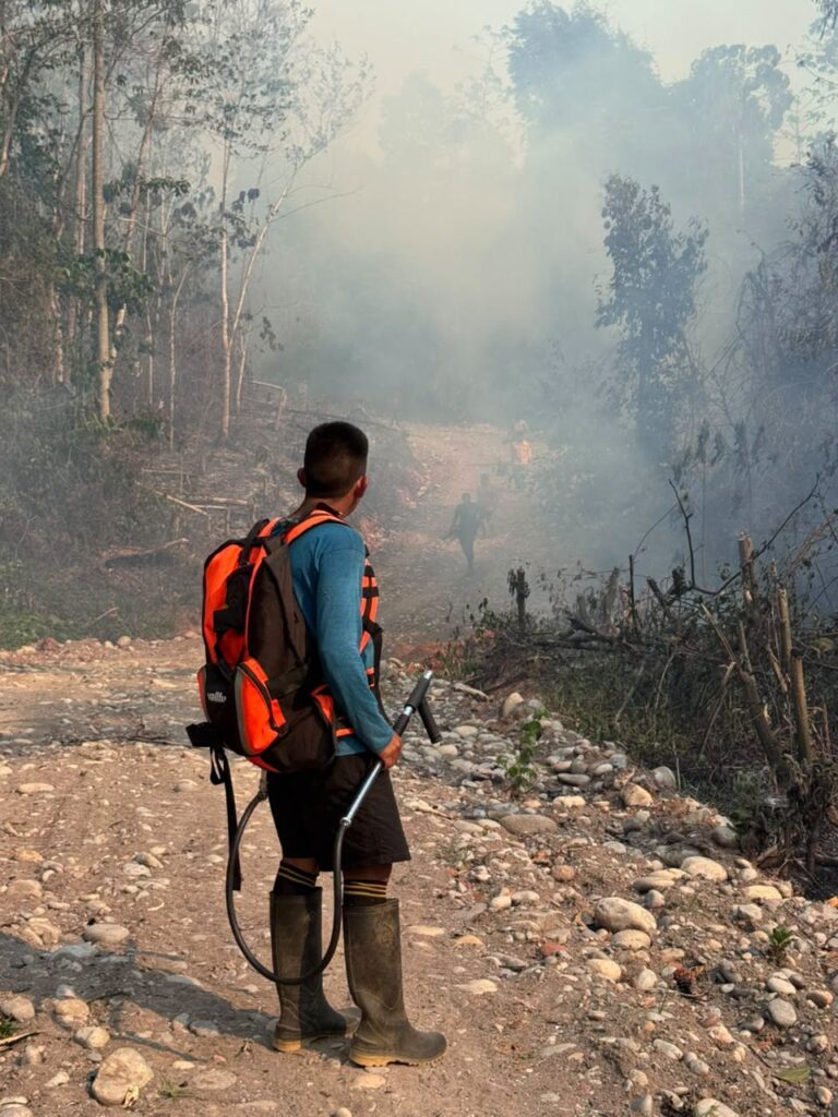 Cutivireni pide auxilio: incendio arrasa más de 350 hectáreas
