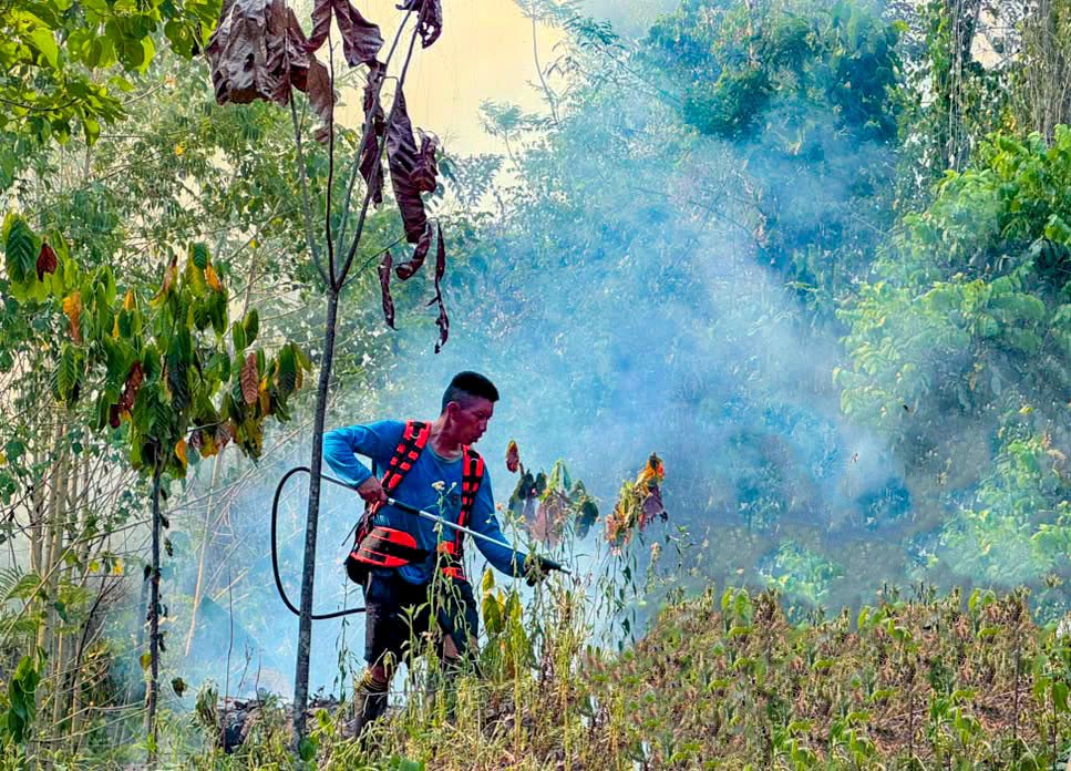 Cutivireni pide auxilio: incendio arrasa más de 350 hectáreas 1 Incendio forestal arrasa comunidad asháninka de Cutivireni