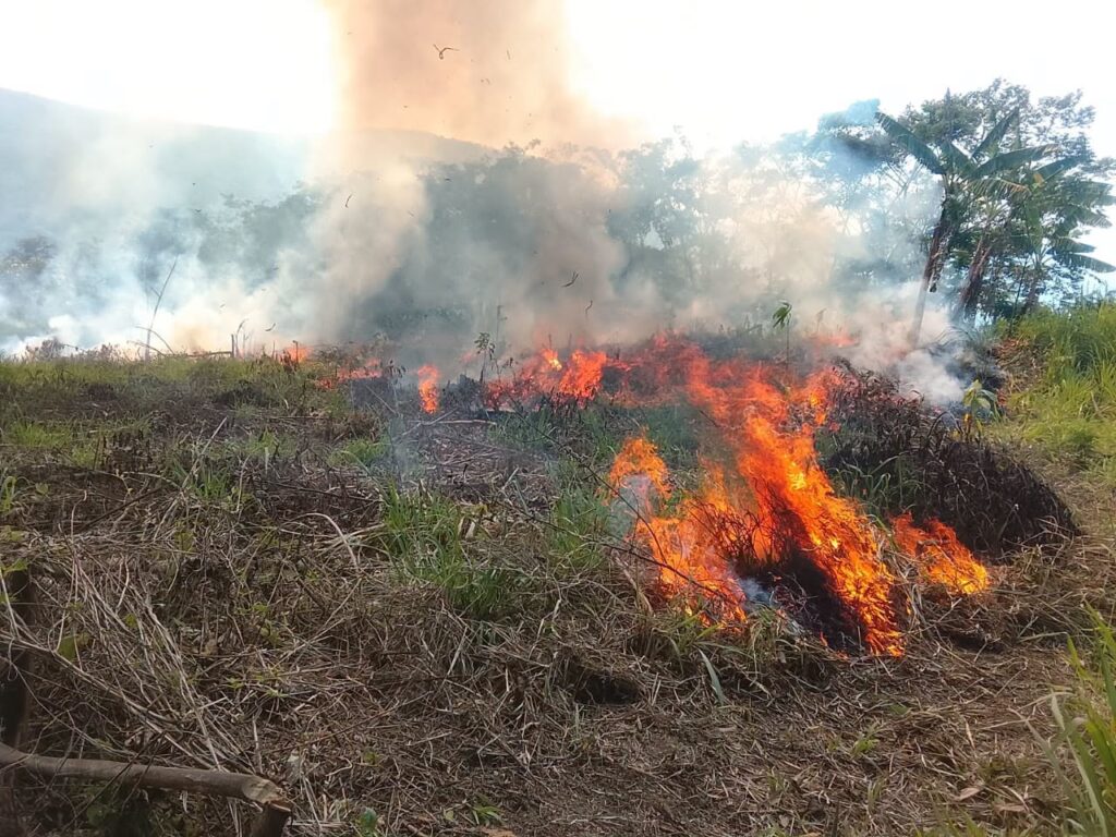 Cutivireni pide auxilio: incendio arrasa más de 350 hectáreas 2